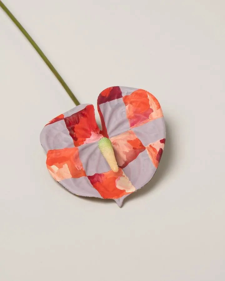 Brooklyn, New York florist Wife painted anthurium stems in lavender in pink squares