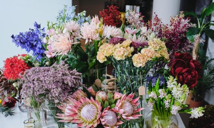 Water Quality and Flower Longevity 