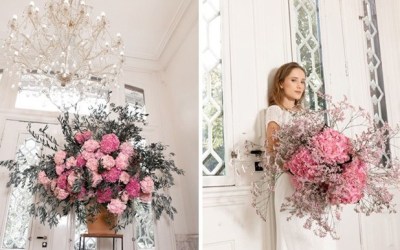 Blooming Innovations Introduces New Hydrangea Variety
