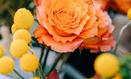 Share your thoughts about Florists’ Review