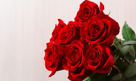 Valentine’s Day Profit Planner