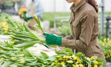 Chrysal International and Verdant Technologies™ Announce Partnership – Companies Working Together to Provide a Breakthrough Extended Life Solution for Floral Industry