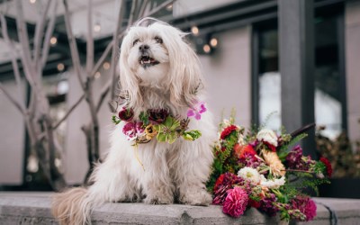 Florists’ Review: June 24 Digital Magazine