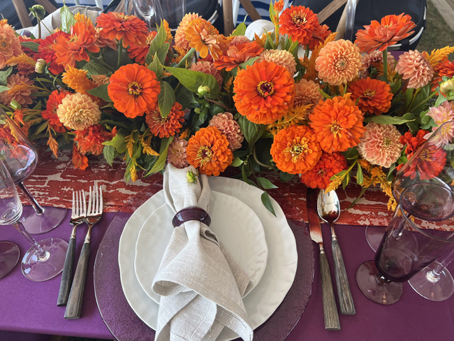 orange flowers on a table