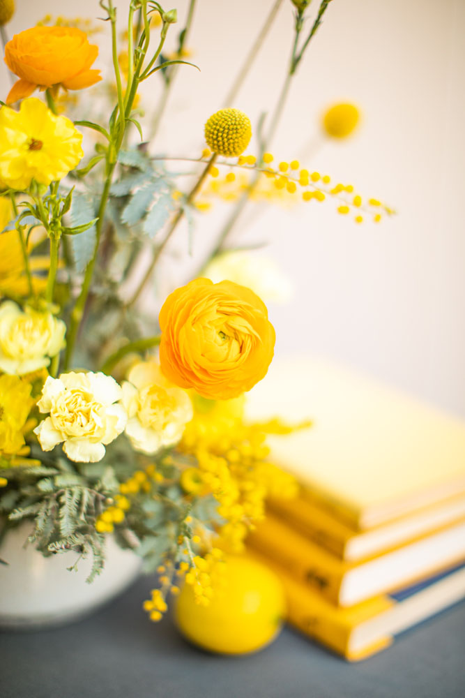 Kat Castagnoli_designer_OanaFoto_Photog_Yellow8_1