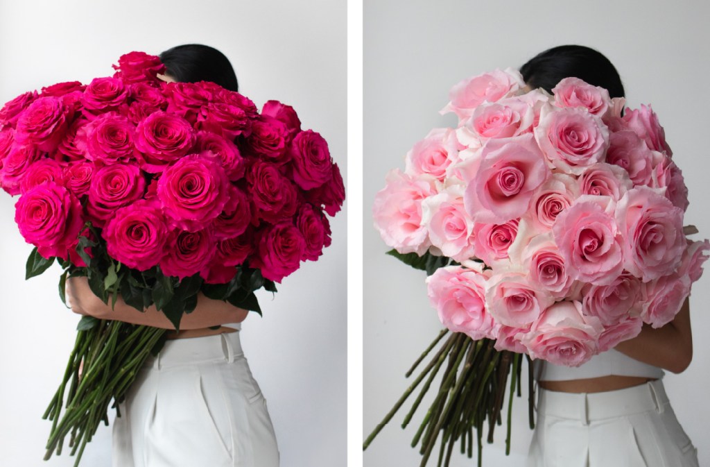 pink roses
