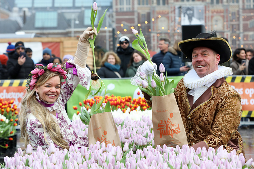 Celebrating National Tulip Day 2025