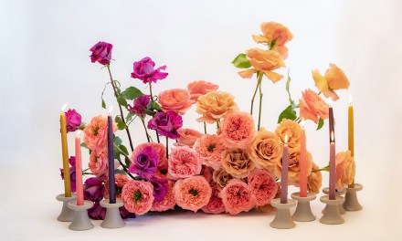 Rosaprima Presents the Bloom & Blossom Event