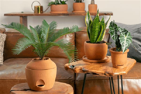 Cool Product Awards TPIE 2021